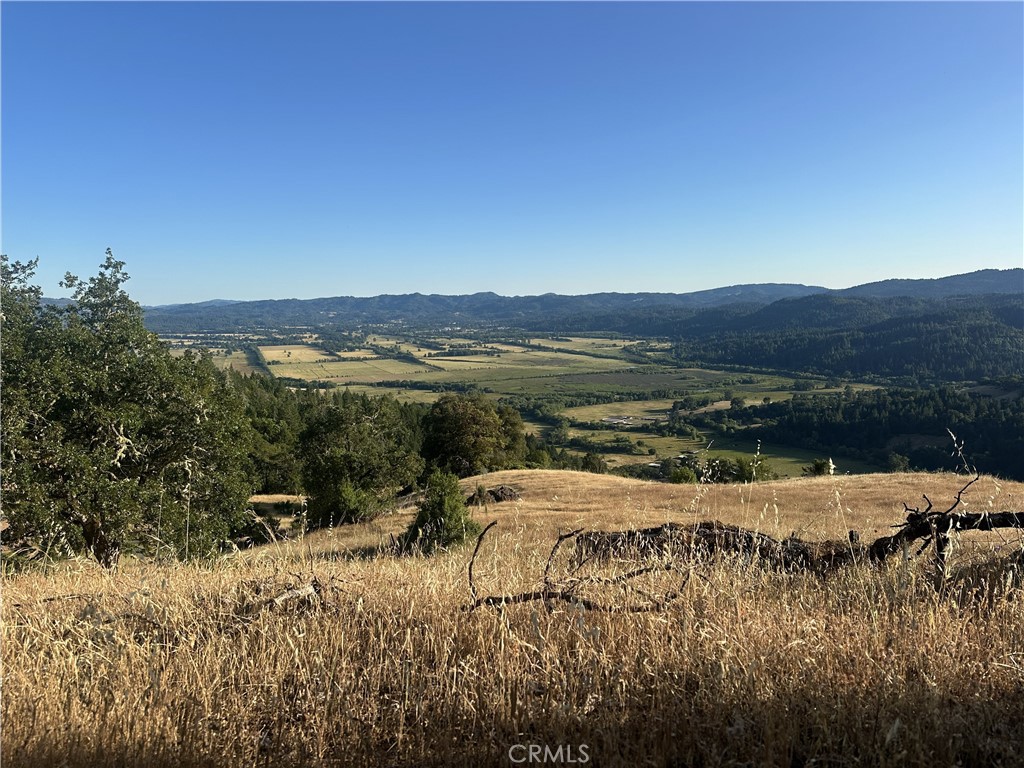 25996 String Creek Road