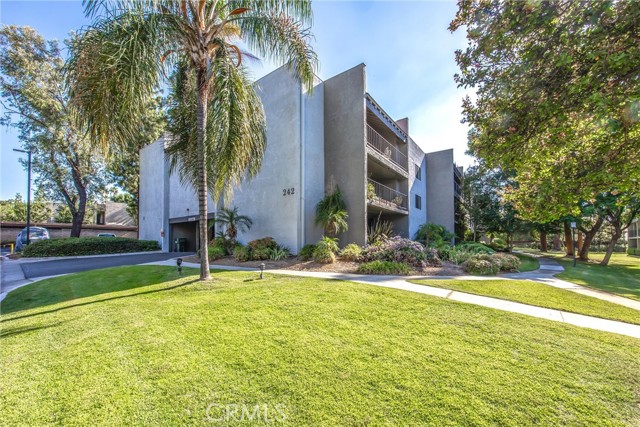 242 E Fern Ave, Redlands CA: https://media.crmls.org/medias/a1e422ad-3cf2-42a6-907d-3dcaf4ec7d4e.jpg