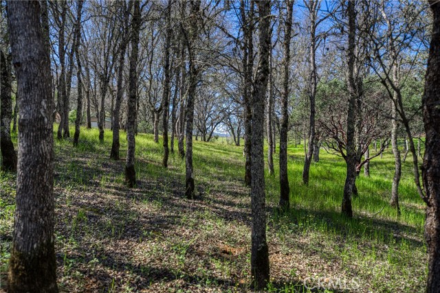 Detail Gallery Image 68 of 74 For 1001 Louis Way, Lakeport,  CA 95453 - 3 Beds | 2/1 Baths