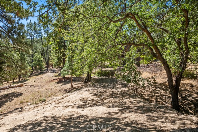 27115 Spring Lane, Lake Arrowhead CA: https://media.crmls.org/medias/a2014166-f2c6-4cb8-b837-f3ec4f3ab43b.jpg