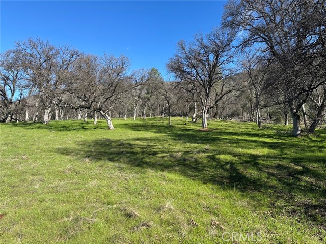 Detail Gallery Image 21 of 32 For 471 Ac - Hwy 49n, Mariposa,  CA 95338 - – Beds | – Baths
