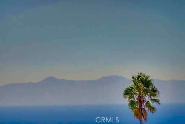 Detail Gallery Image 8 of 75 For 2275 W 25th #114,  San Pedro,  CA 90732 - 3 Beds | 2 Baths