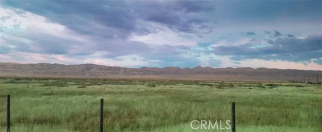 Front Image Thumbnail for CRNP25250277