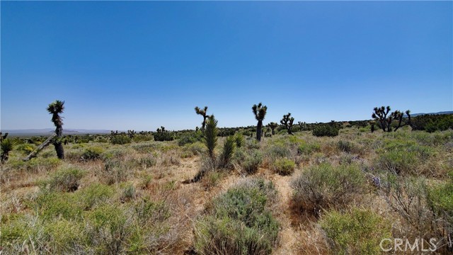 Detail Gallery Image 1 of 22 For 0 Vicinity 180th St East & Ave Y, Llano,  CA 93544 - – Beds | – Baths
