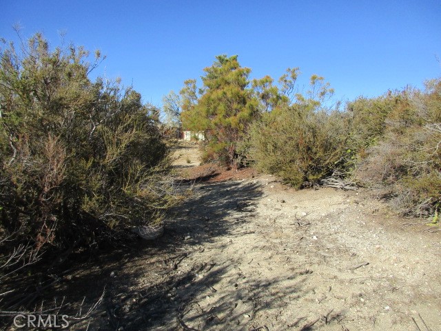 Detail Gallery Image 8 of 12 For 59605 Burnt Valley Rd, Anza,  CA 92539 - – Beds | – Baths