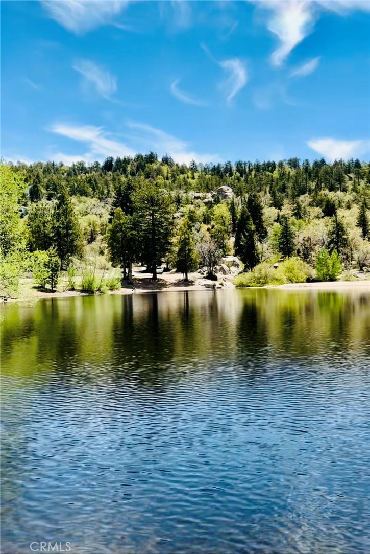 https://media.crmls.org/medias/a21e19bb-2374-44e0-874d-a0939bf6ed12.jpg?preset=X-Large