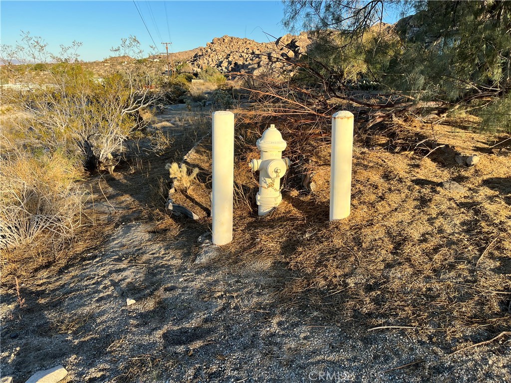 MLS #JT25250463 image #15