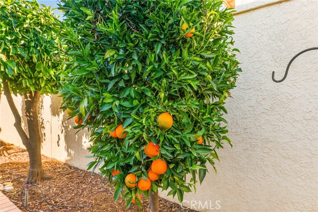 Detail Gallery Image 49 of 67 For 6055 Spanish Trail Cove, Banning,  CA 92220 - 3 Beds | 2/1 Baths