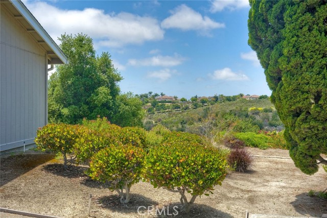 4273 Spoon Bill Way, Oceanside CA: https://media.crmls.org/medias/a224ca23-52f7-472d-860f-7762c7194c87.jpg
