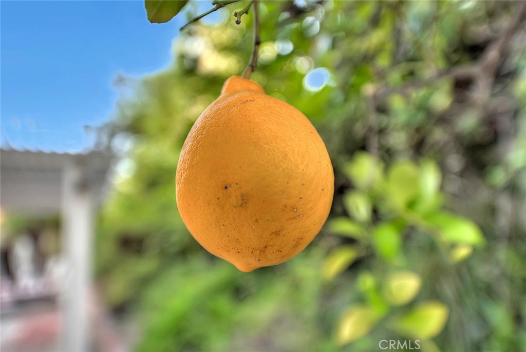 https://media.crmls.org/medias/a224f18e-2a54-4c58-b15e-bb720404683c.jpg?preset=X-Large