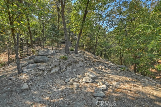 Detail Gallery Image 47 of 49 For 26690 Thunderbird Dr, Lake Arrowhead,  CA 92352 - 3 Beds | 3/1 Baths