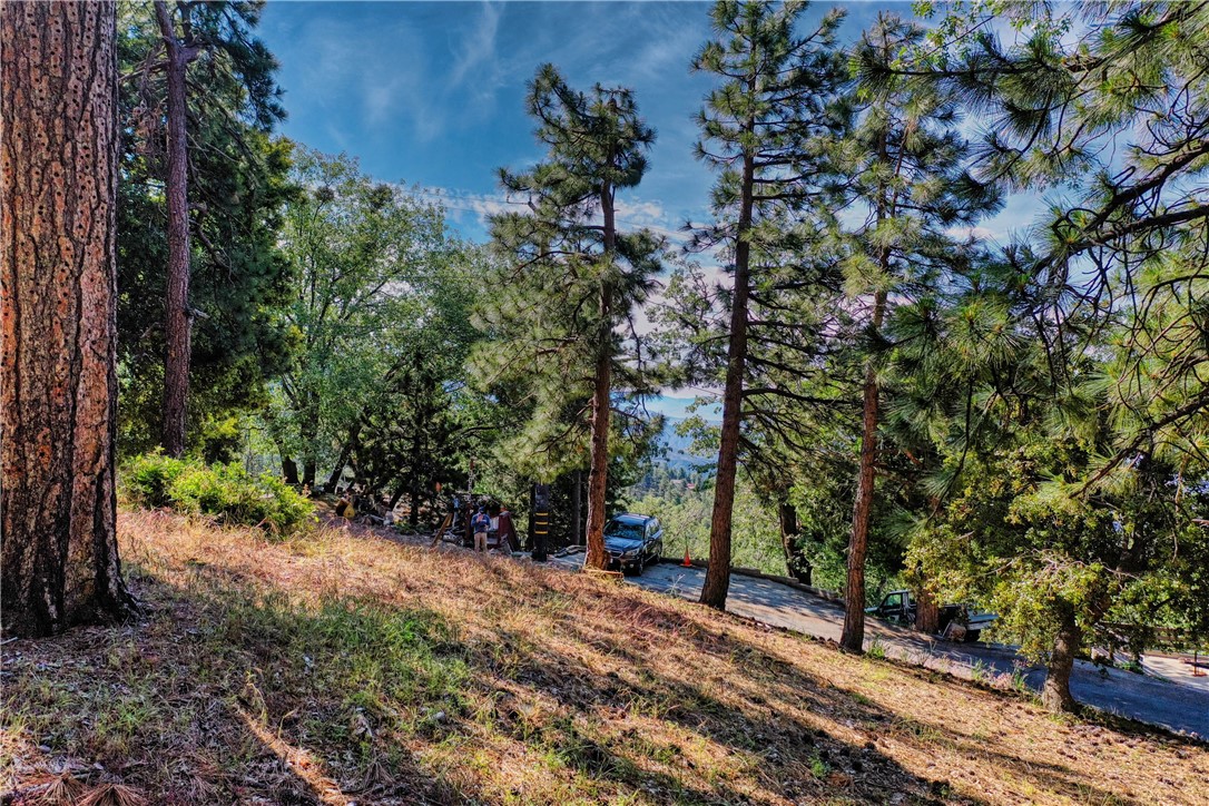 246 Lot 246 Ferndale Drive, Running Springs, California 92382, ,Land,For Sale,246 Lot 246 Ferndale Drive,CREV23111241