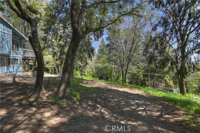 Detail Gallery Image 6 of 37 For 22365 Pine Dr, Cedarpines Park,  CA 92322 - 4 Beds | 2 Baths