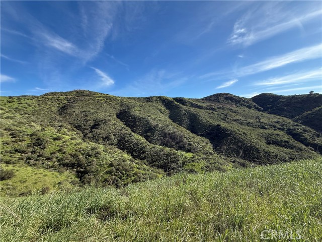 Detail Gallery Image 16 of 21 For 28292 Williams Canyon Rd, Silverado,  CA 92676 - – Beds | – Baths