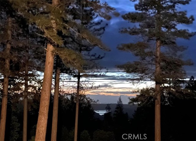 545 Lower Forbestown Road, Oroville, CA, 95966 545 Lower Forbestown Road, Oroville, CA, 95966