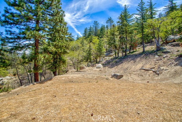 Image 66 of 75 For 32557 Pine Cone Ct A&b