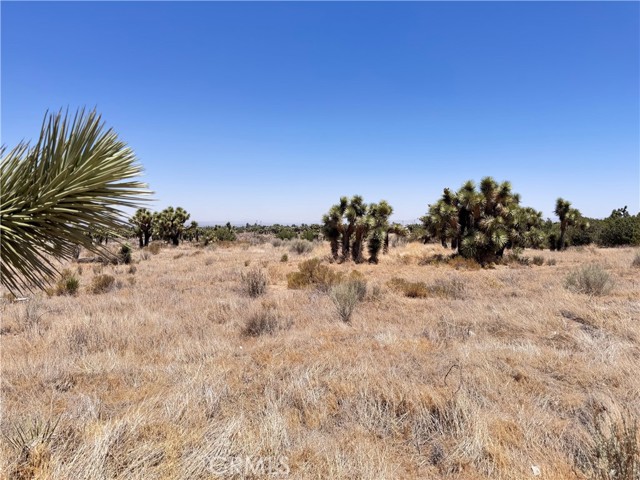 0 Sunnyslope Road, Phelan CA: https://media.crmls.org/medias/a24155d7-5e60-459d-be6e-da7613a79601.jpg