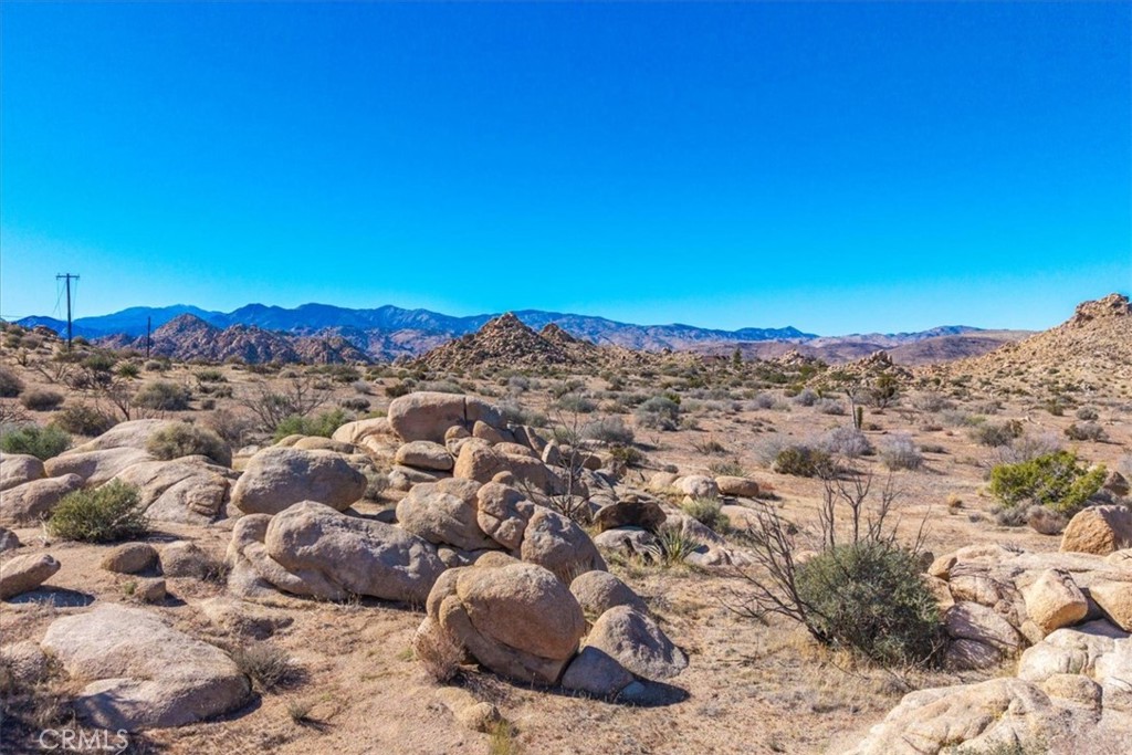 MLS #JT25250010 image #11