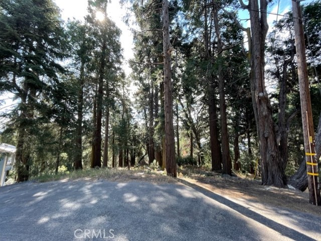 0 Lakeland View, Cedarpines Park, California 92322, ,Land,For Sale,0 Lakeland View,CREV22167297