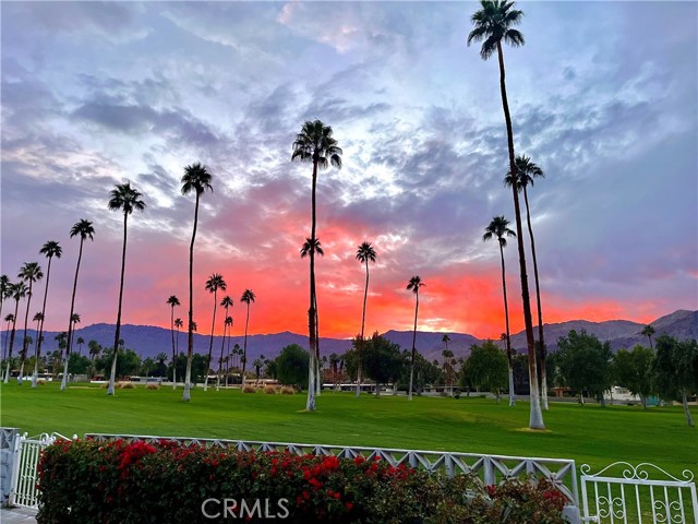 Detail Gallery Image 33 of 42 For 46125 Burroweed Ln., Palm Desert,  CA 92260 - 2 Beds | 2/1 Baths