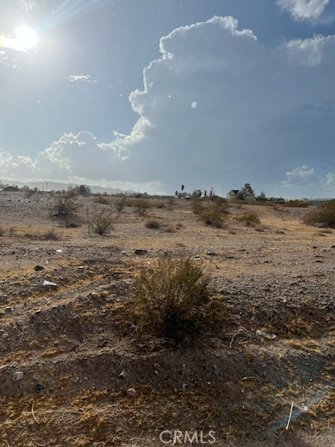 Needles, CA 92363