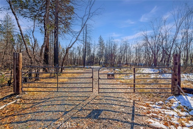 5 Four M, Berry Creek, CA, 95916 5 Four M, Berry Creek, CA, 95916