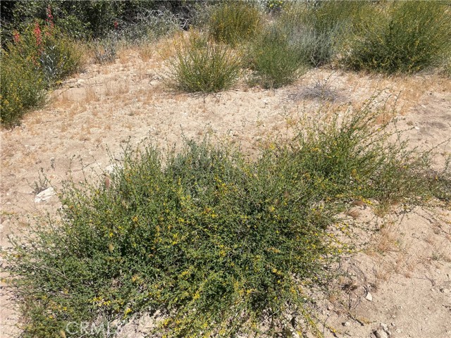 33 Sweetbush, Anza CA: https://media.crmls.org/medias/a2602be3-bf56-425e-97a0-b22a215747e4.jpg