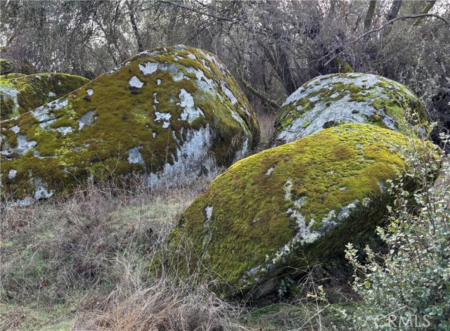Detail Gallery Image 7 of 9 For 0 Daffodil Dr, Mariposa,  CA 95338 - – Beds | – Baths