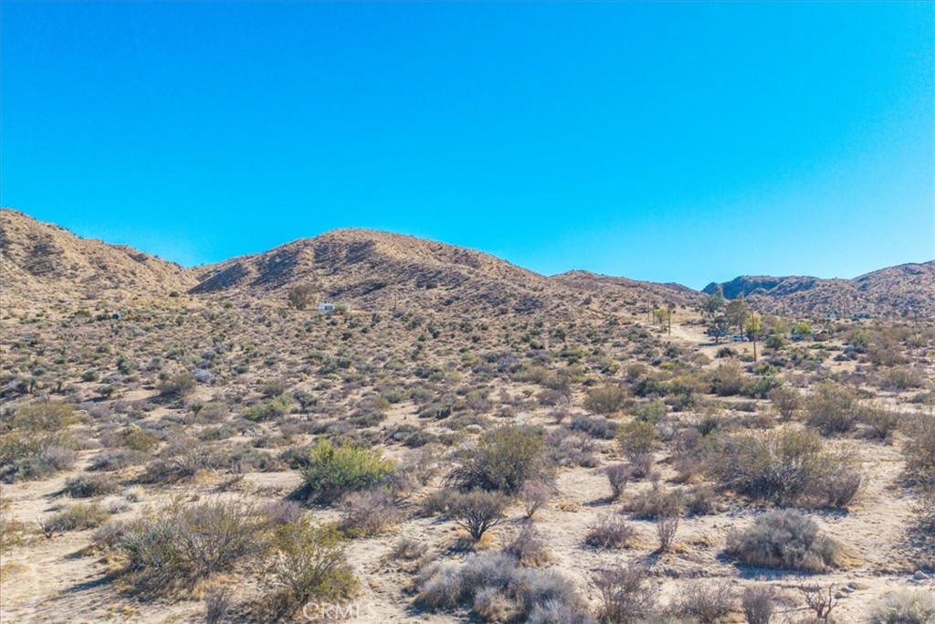 MLS #JT25257903 image #12