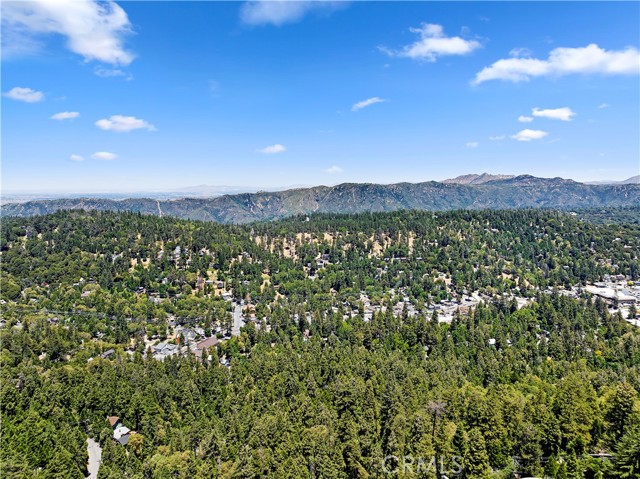 Detail Gallery Image 32 of 36 For 23746 Crest Forest, Crestline,  CA 92325 - 3 Beds | 2 Baths