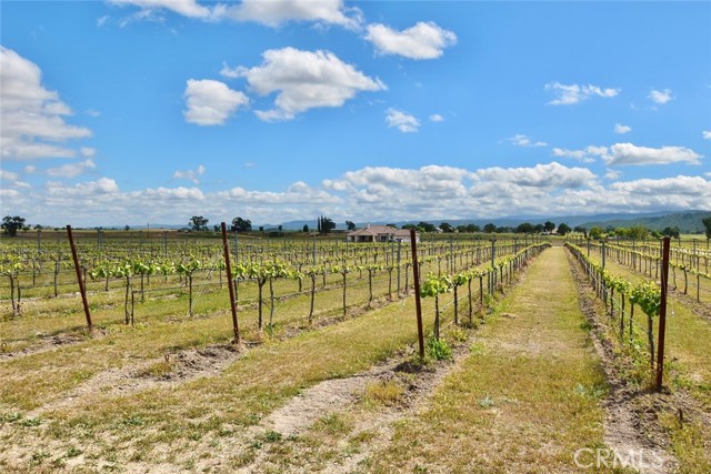 50645 Lockwood Road, Lockwood CA: https://media.crmls.org/medias/a2709a71-1664-42f4-aa29-53eabbd46716.jpg