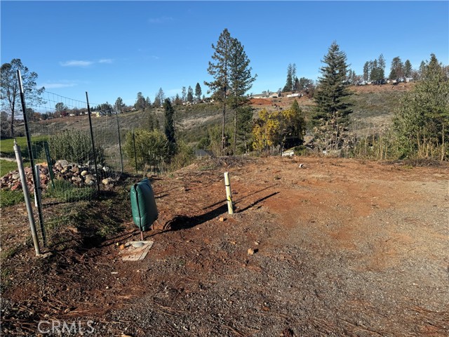 Front Image Thumbnail for CRPA25275476