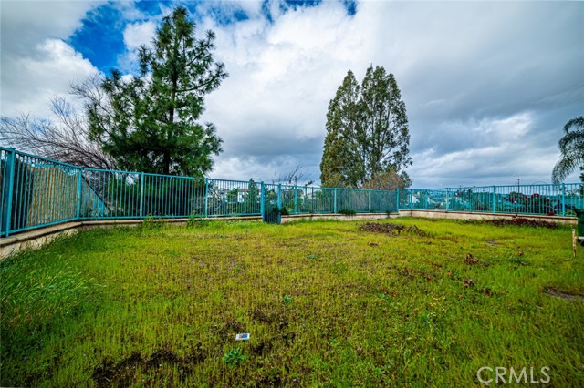 Image 21 of 23 For 16039 Palomino