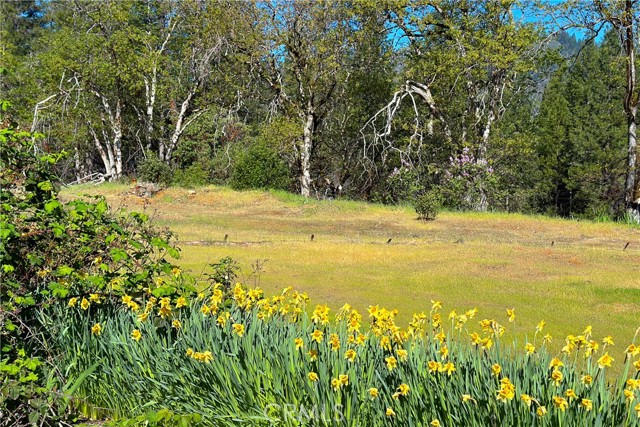 Detail Gallery Image 3 of 35 For 1271 Lake, –,  CA 96048 - – Beds | – Baths