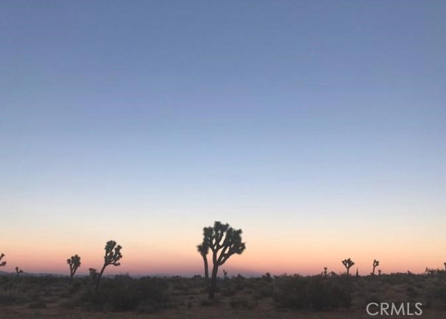 0 Holly Road, Phelan CA: https://media.crmls.org/medias/a28070fe-173b-4c84-b2ef-3fa44611aa62.jpg