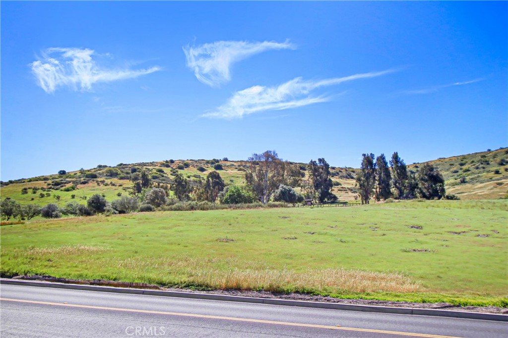 13039 Alpine Drive - photo 14