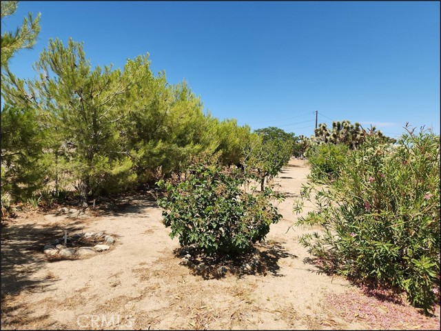 Detail Gallery Image 43 of 50 For 4000 Shepherd Rd, Phelan,  CA 92371 - 3 Beds | 2 Baths