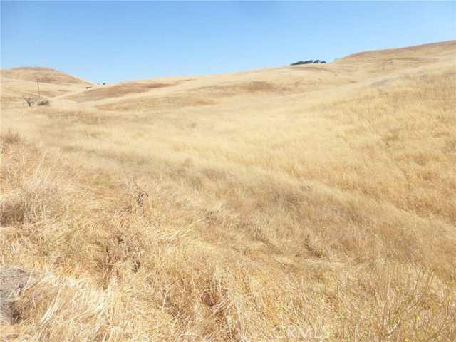 Detail Gallery Image 16 of 42 For 0 Douglas Rd. (Lots 40-43), San Miguel,  CA 93451 - – Beds | – Baths