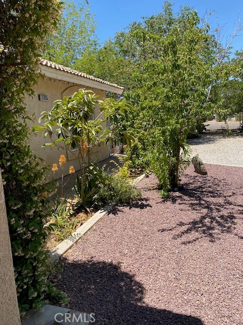 15805 Muscatel Street, Hesperia CA: https://media.crmls.org/medias/a29564aa-d7e6-4563-836d-d97c781a8e16.jpg