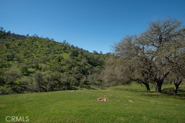 Detail Gallery Image 41 of 63 For 2935 Sorrel Ln, Paso Robles,  CA 93446 - 4 Beds | 2/1 Baths
