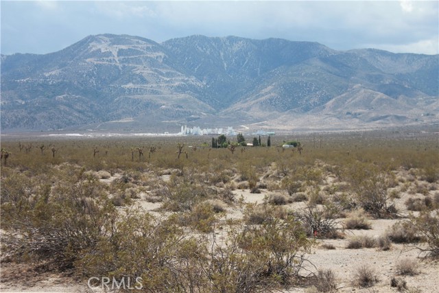 Detail Gallery Image 50 of 71 For 769 Meridian Rd, Lucerne Valley,  CA 92356 - – Beds | – Baths