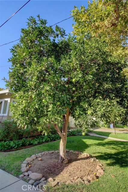 Detail Gallery Image 4 of 58 For 2655 6th Ave, Merced,  CA 95340 - 3 Beds | 2 Baths