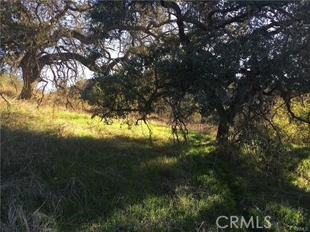 Detail Gallery Image 12 of 27 For 9 La Cruz Drive, Temecula,  CA 92590 - – Beds | – Baths