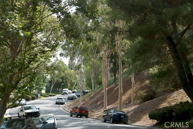 View of the tree lined streets