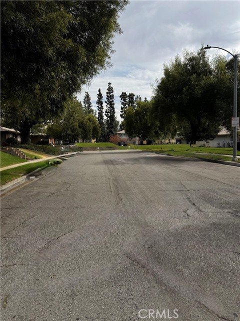 Tree Lined Streets with sidewalk