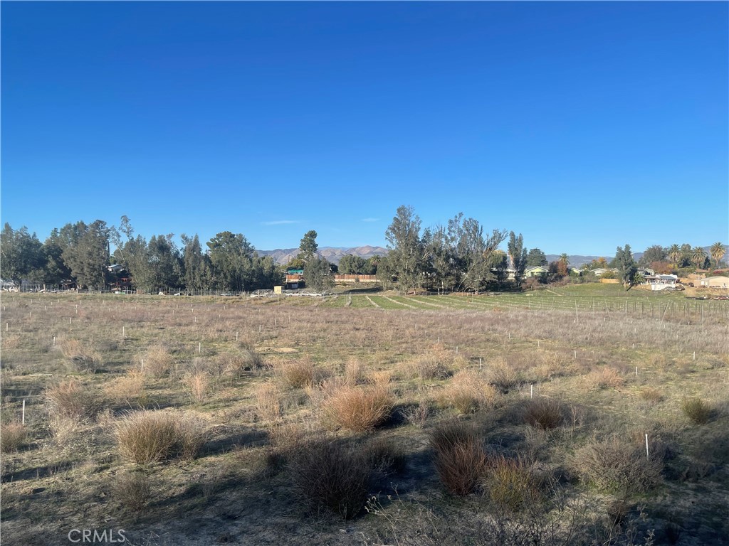 MLS #WS25276306 image #31