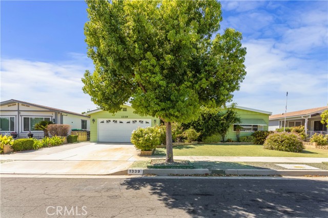 Detail Gallery Image 3 of 13 For 1339 Basswood Way, Hemet,  CA 92545 - 3 Beds | 2 Baths