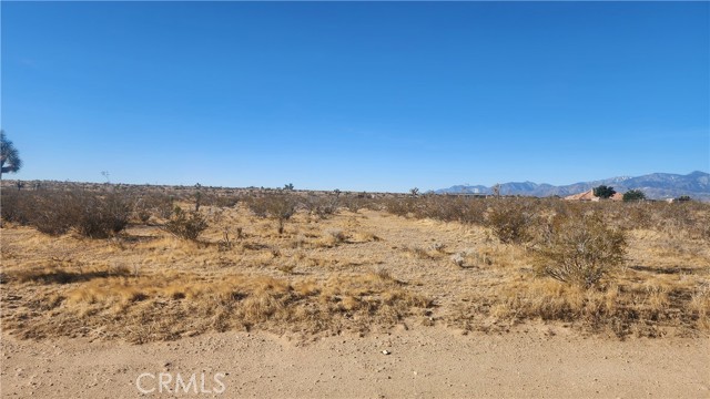 Detail Gallery Image 1 of 4 For 0 Danbury Rd, Phelan,  CA 92371 - – Beds | – Baths