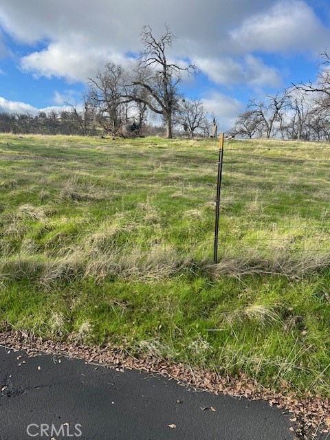 Detail Gallery Image 8 of 15 For 0 Bobcat Ct, Catheys Valley,  CA 95306 - – Beds | – Baths