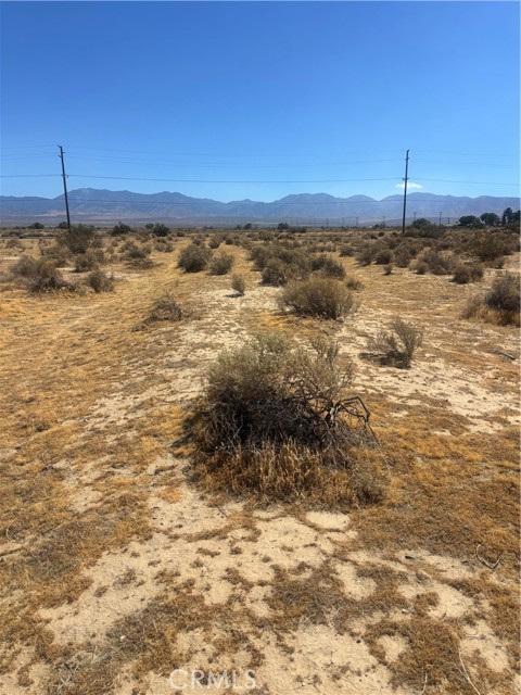  Land for Sale in Palmdale, California